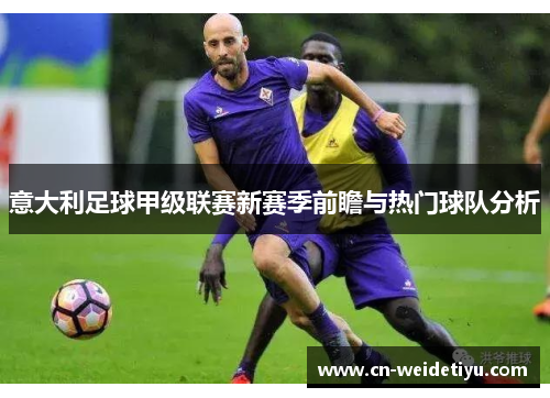 意大利足球甲级联赛新赛季前瞻与热门球队分析