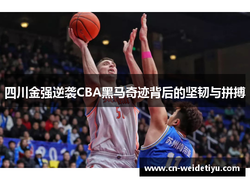 四川金强逆袭CBA黑马奇迹背后的坚韧与拼搏