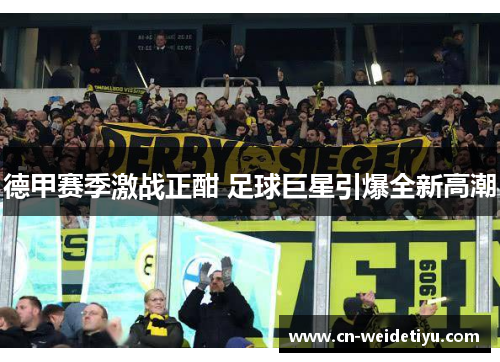 德甲赛季激战正酣 足球巨星引爆全新高潮