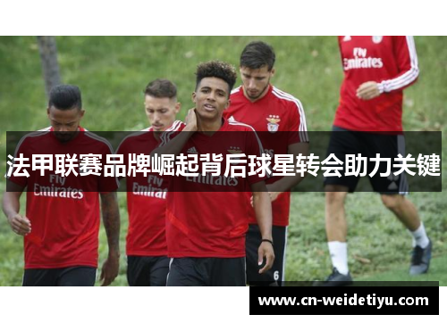 法甲联赛品牌崛起背后球星转会助力关键